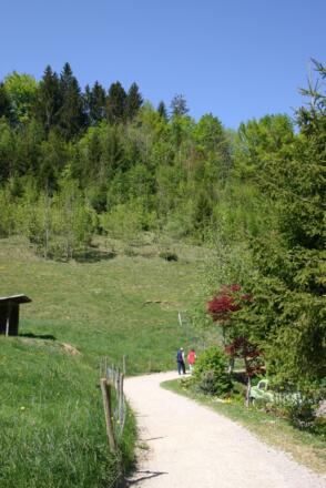 Auf Schotterwegen durchs Jenbachtal