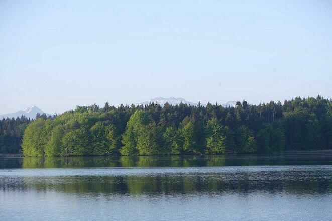 Hartsee