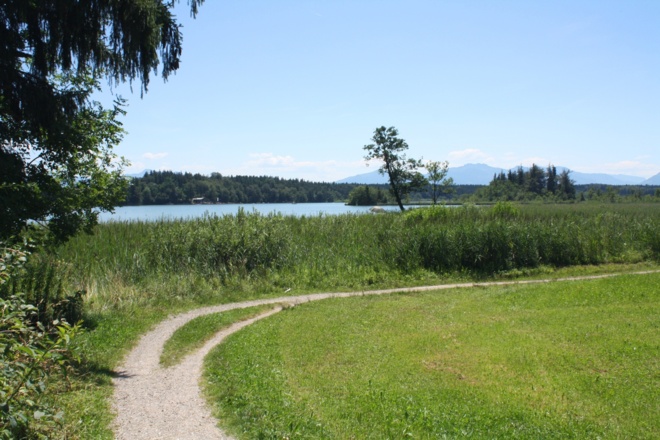 Hartsee