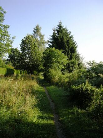 Naturlehrpfad am Schwarzmoosbach
