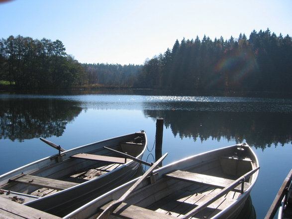Blick auf den Langbürgner See