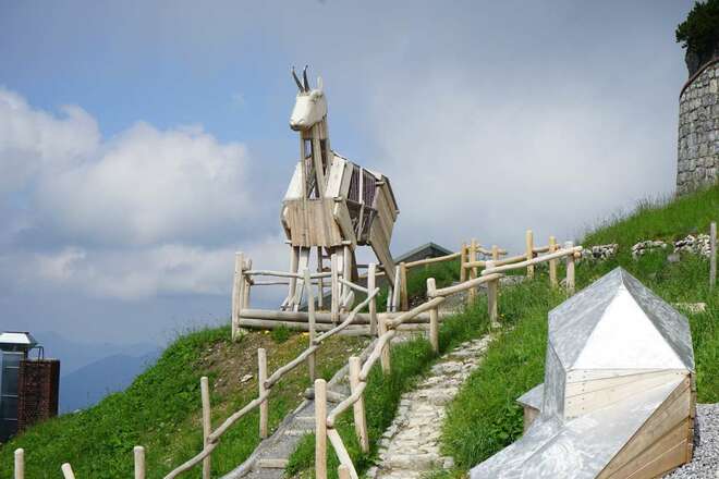 Wendelstein Gams