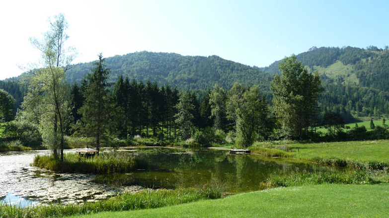 Rund um den Schwarzenberg - Kleiner See bei Wildgrub