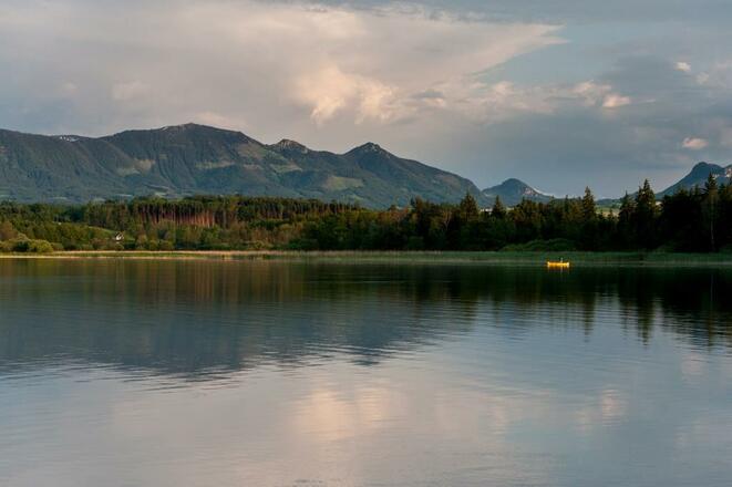 Simsseeblick