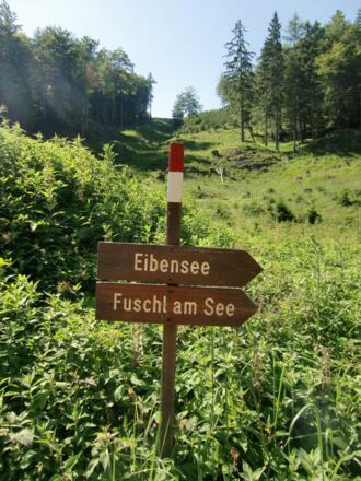Wegweiser zum Eibensee