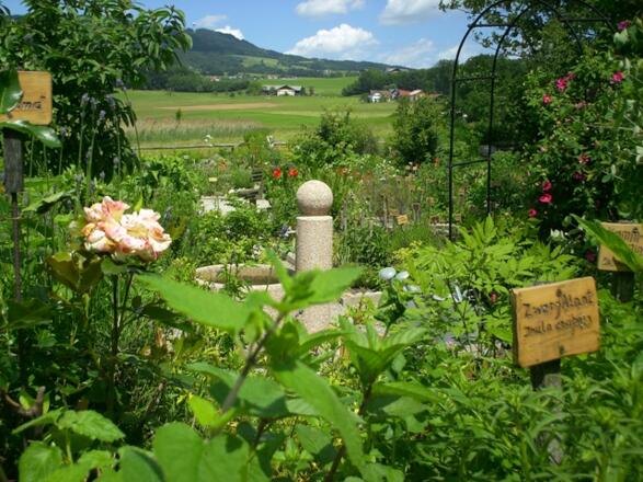 Hotel Hammerschmiede ****