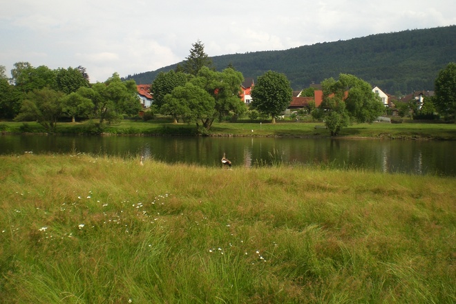 Am Mainradweg