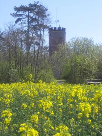 Wartturm im Rapsfeld