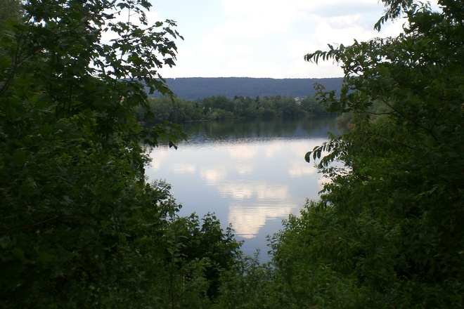 Blick auf den Mondsee