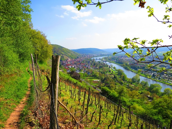 Wanderweg "Schnepfe" Klingenberg, Churfranken