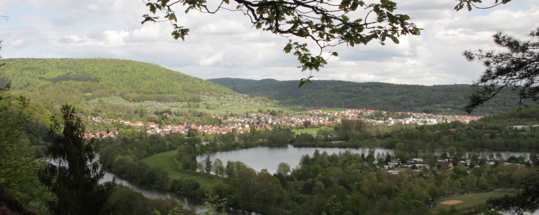 Ortsansicht von Collenberg