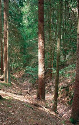 Auf dem Weg durch den Totengraben