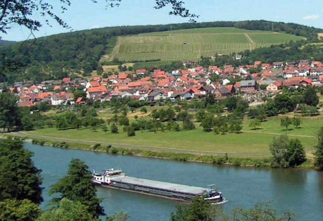 Weinberge bei Dorfprozelten