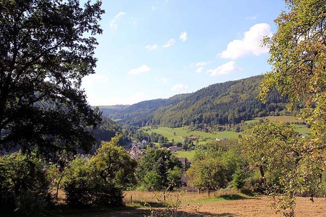 Blick von Rippberg ins Eiderbachtal
