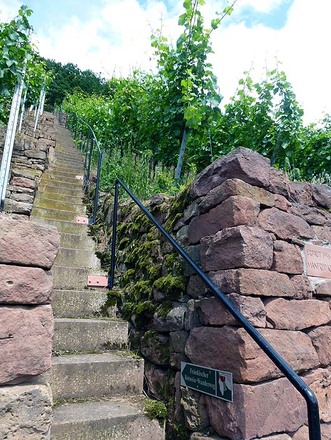 Bruchsteinmauern stützen und terrassieren die steilen Lagen.