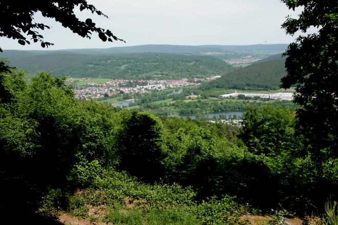 Aussicht nach Collenberg