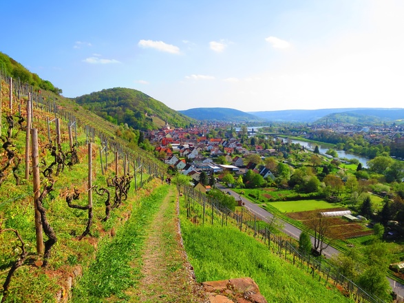 Wanderweg "Schnepfe" Klingenberg, Churfranken