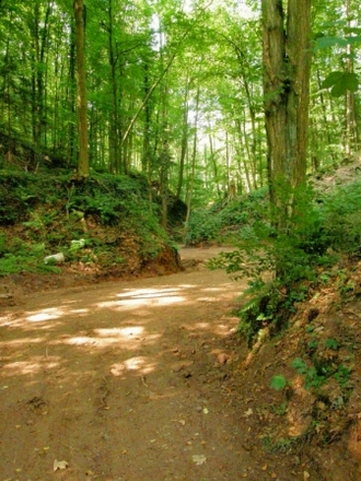 Hohbergsgraben Erlenbach