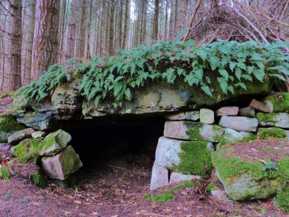 Karre Franz Höhle