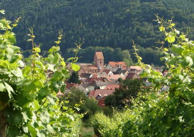 Weinberg