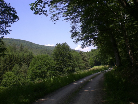 Fechenbachtal