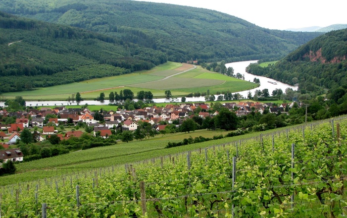 Blick auf Dorfprozelten