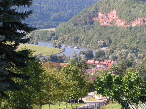 Blick über Dorfprozelten