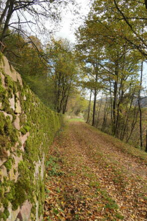 Weinbergweg