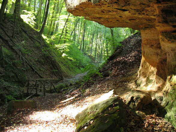 Wanderweg "Schnepfe" Klingenberg, Churfranken