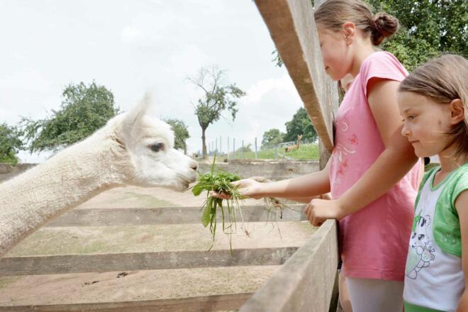 Gemeinsames Füttern