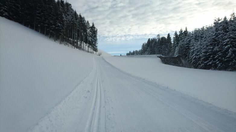 Einstieg Fischbachloipe