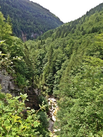 Postalm Tennengau