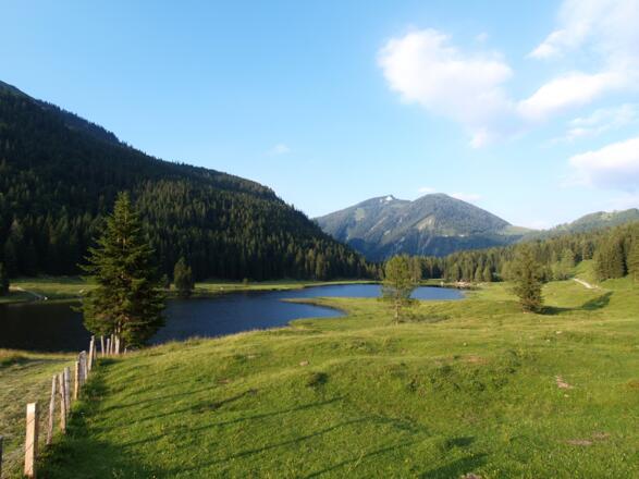 Seewaldsee St.Koloman