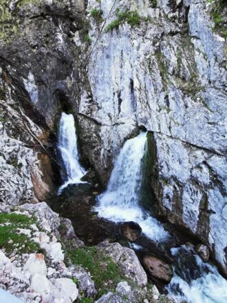 Dachserfall Abtenau