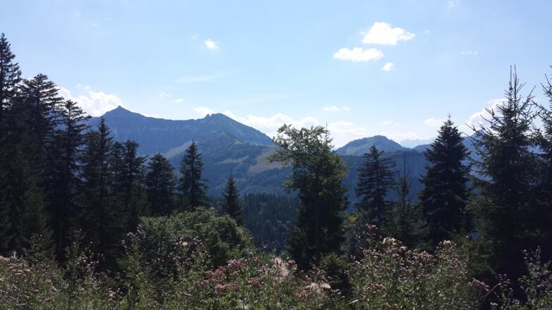 Gruberhorn, Regenspitz und Feichtensteinalm im Vordergrund