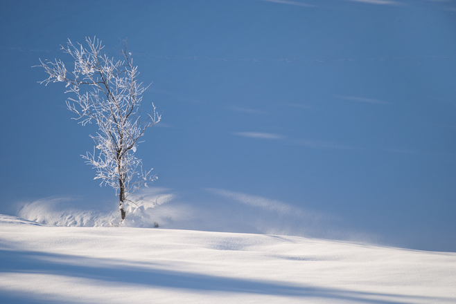 Rauhreif im Ortsteil Au