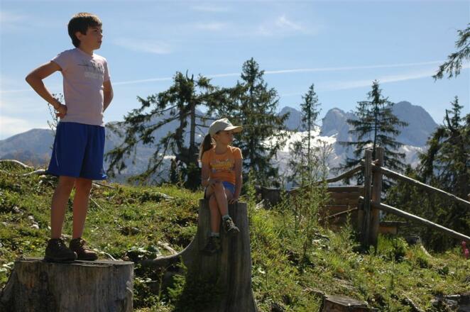 Kinder beim Wandern