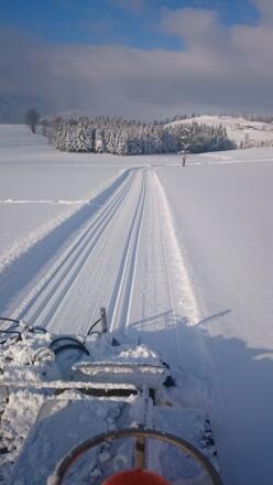 Loipenpräparierung Fischbach