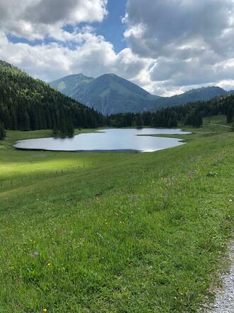 Seewaldsee