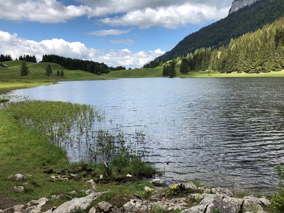 Seewaldsee