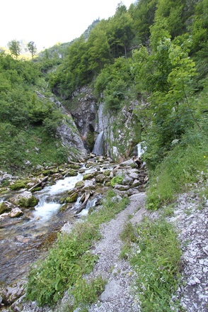 Dachserfall