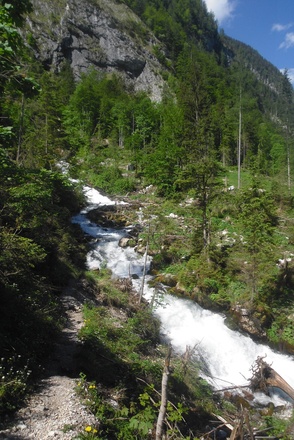 Tricklfall