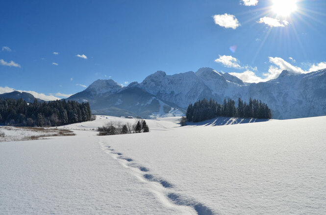 Spuren im Schnee