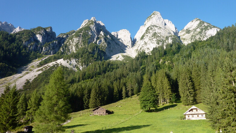 Am Steiglweg