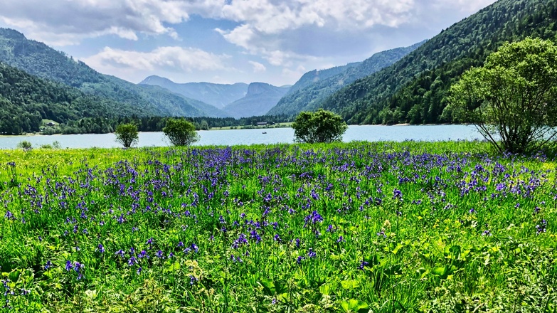 Hintersee