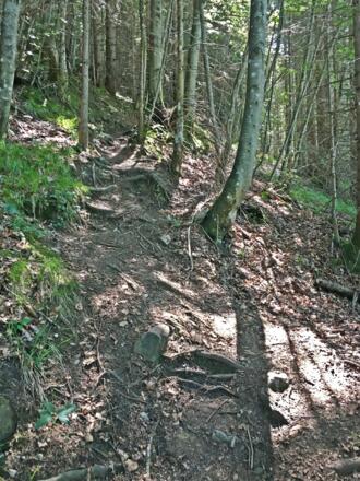 Wanderweg zur Bleckwand