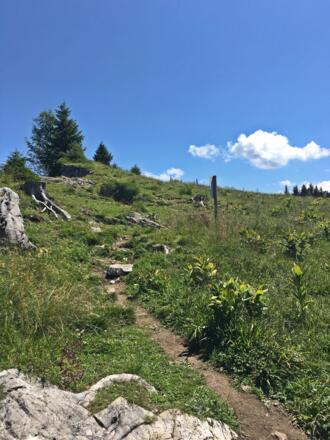 Wanderweg kurz vor dem Gipfel
