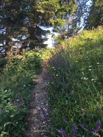 Wanderung auf den Bleckwand