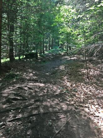 Wanderung auf den Bleckwand