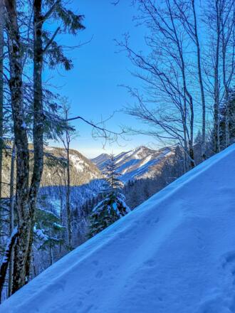 Immer wieder geht der Blick in die Ferne - hier über das Tal von Faistenau-Hintersee
